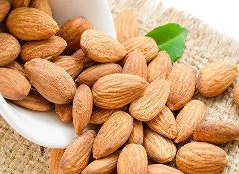 تصویر 4 از قیمت خرید بادام درختی صادراتی + فروش ویژه